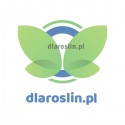 logotyp-dlaroslin.jpg