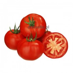 pomidor-klymon-sakata.jpg