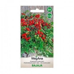 pomidor_bajaja_0,3g_st_nasiona_wegana.jpg