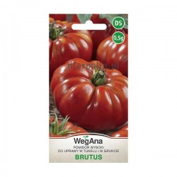 pomidor_brutus_0,5G_st_nasiona_wegana.jpg