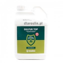 sulfur-top-5l.jpg