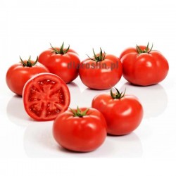 pomidor-rana-sakata.jpg