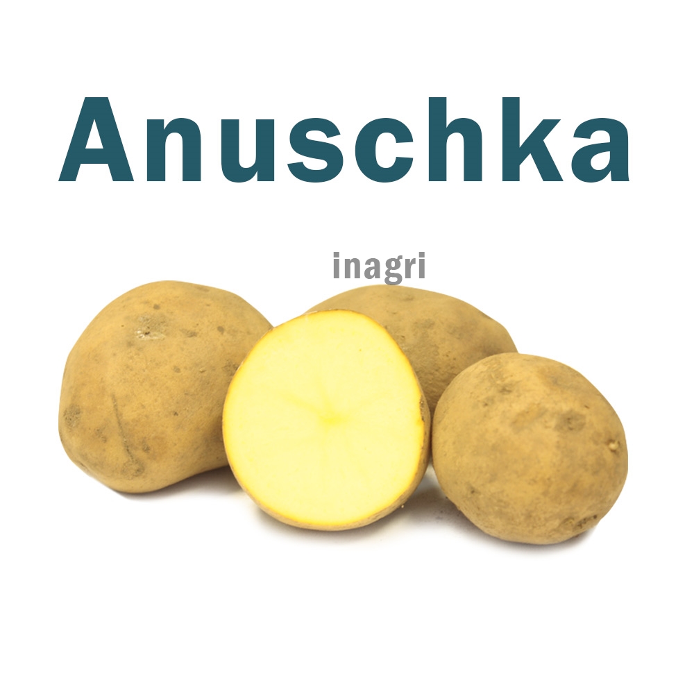 ziemniaki-sadzeniaki-anuschka.jpg