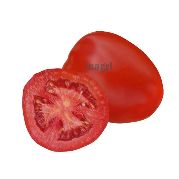 pomidor-indio-sakata.jpg
