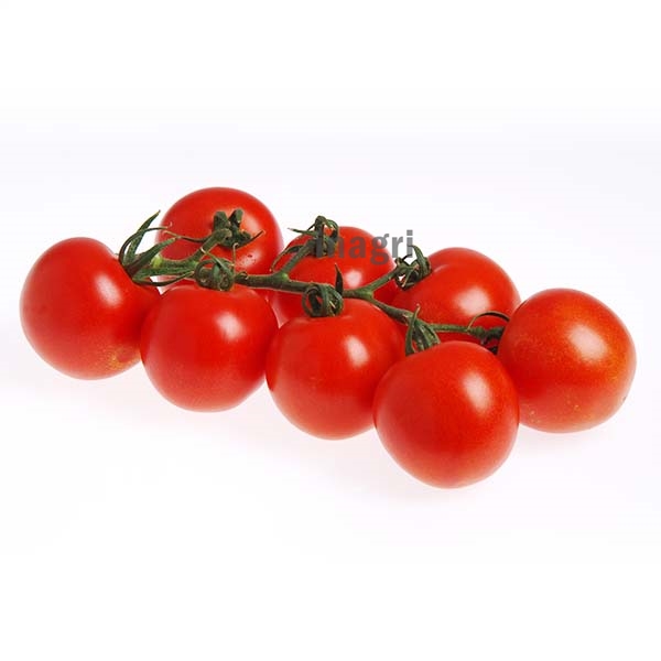 pomidor-side-sakata.jpg